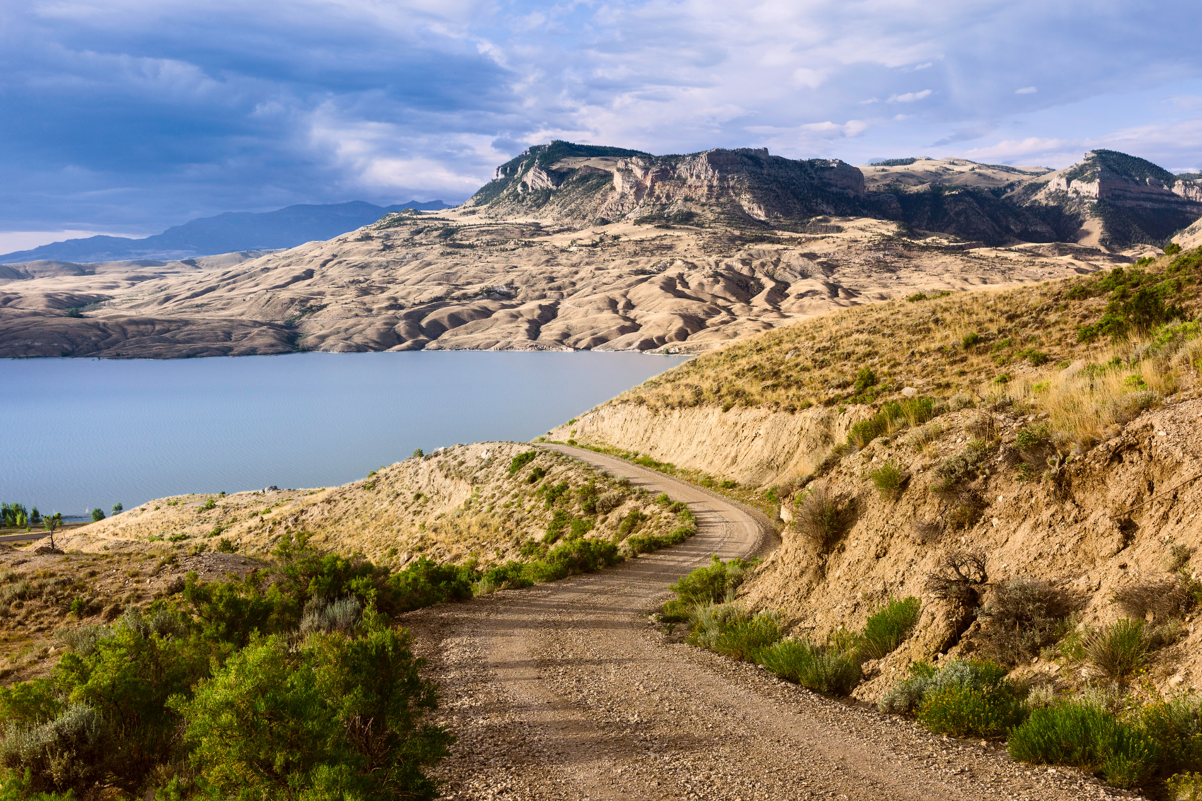buffalo, wyoming.webp
